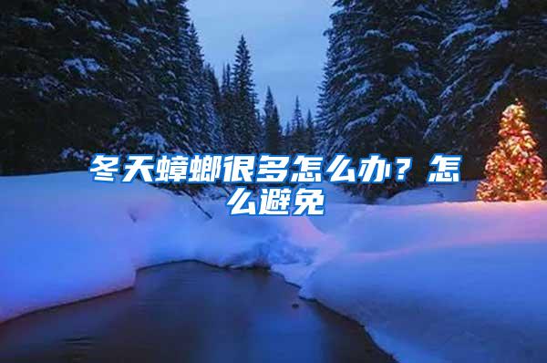 冬天蟑螂很多怎么辦？怎么避免