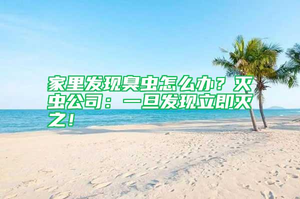 家里發現臭蟲怎么辦？滅蟲公司：一旦發現立即滅之！