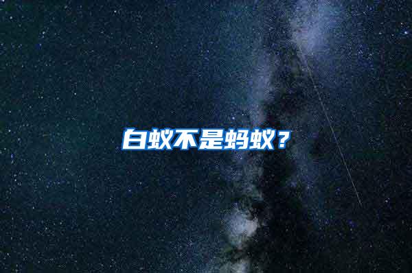 白蟻不是螞蟻？