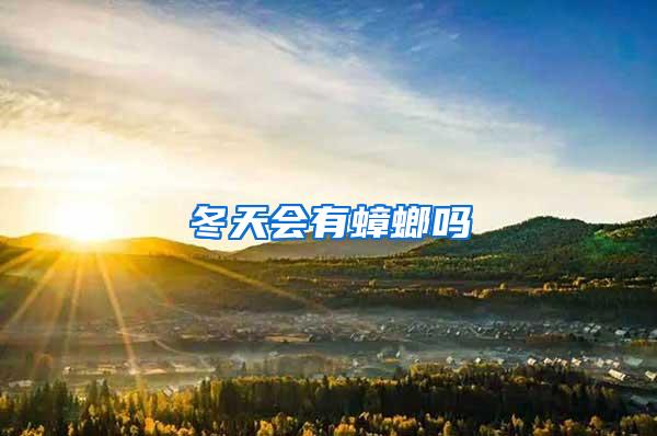 冬天會有蟑螂嗎