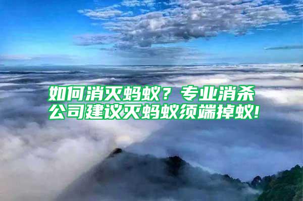 如何消滅螞蟻？專業消殺公司建議滅螞蟻須端掉蟻!