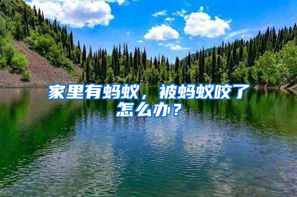 家里有螞蟻，被螞蟻咬了怎么辦？