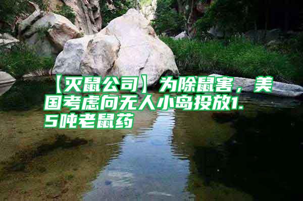 【滅鼠公司】為除鼠害，美國考慮向無人小島投放1.5噸老鼠藥