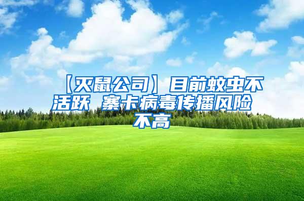 【滅鼠公司】目前蚊蟲不活躍 寨卡病毒傳播風險不高