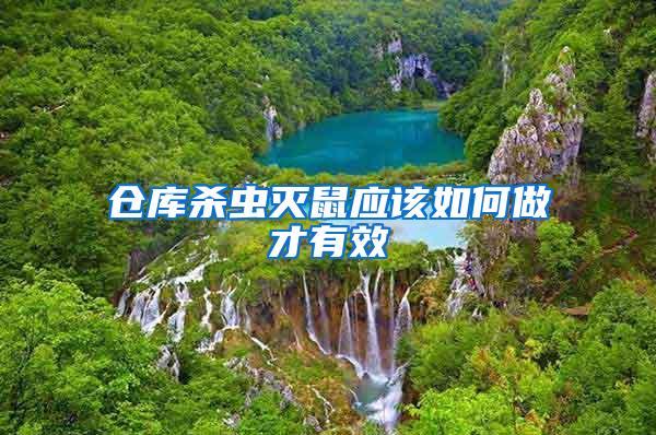 倉庫殺蟲滅鼠應該如何做才有效