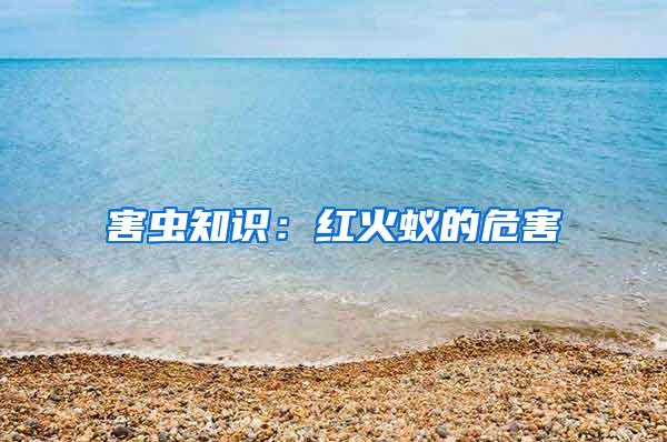 害蟲知識：紅火蟻的危害