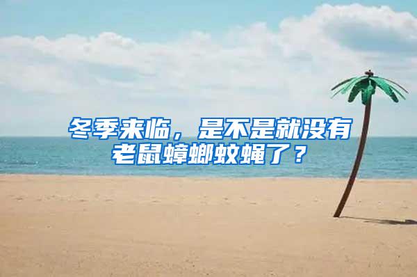 冬季來臨，是不是就沒有老鼠蟑螂蚊蠅了？