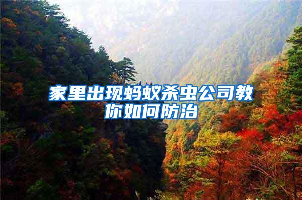 家里出現(xiàn)螞蟻殺蟲公司教你如何防治