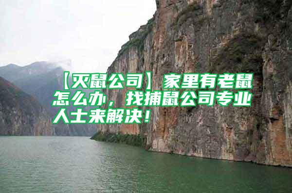 【滅鼠公司】家里有老鼠怎么辦，找捕鼠公司專業(yè)人士來(lái)解決！