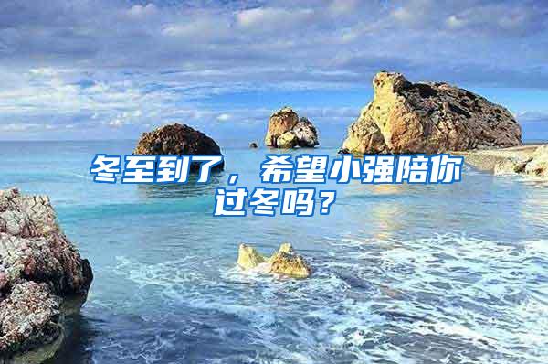 冬至到了，希望小強陪你過冬嗎？