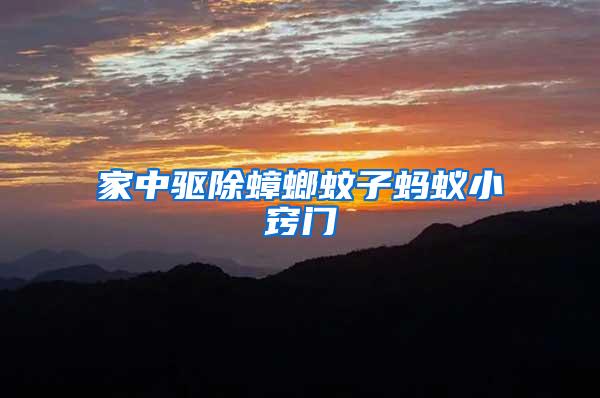 家中驅除蟑螂蚊子螞蟻小竅門