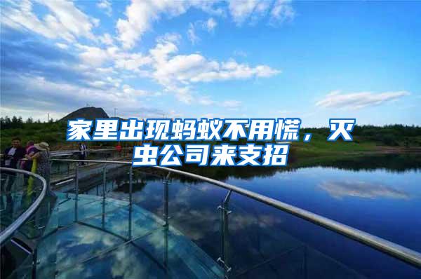 家里出現螞蟻不用慌，滅蟲公司來支招
