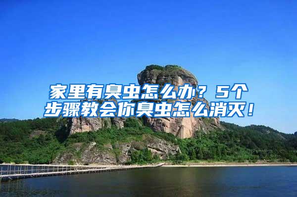 家里有臭蟲怎么辦？5個步驟教會你臭蟲怎么消滅！