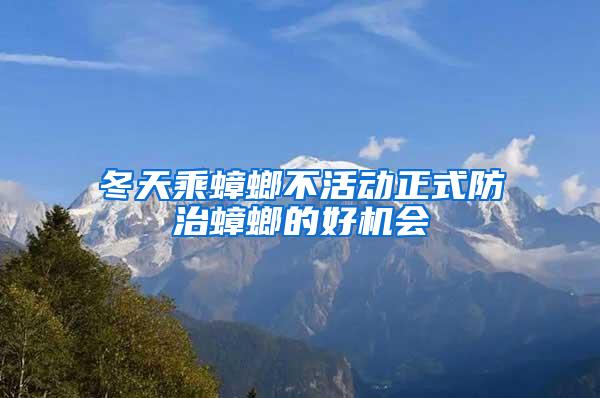 冬天乘蟑螂不活動正式防治蟑螂的好機會