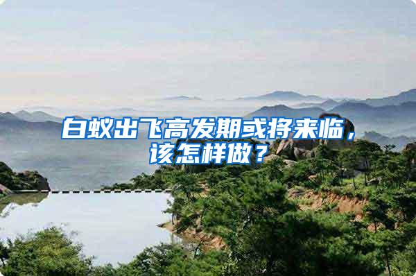 白蟻出飛高發期或將來臨，該怎樣做？
