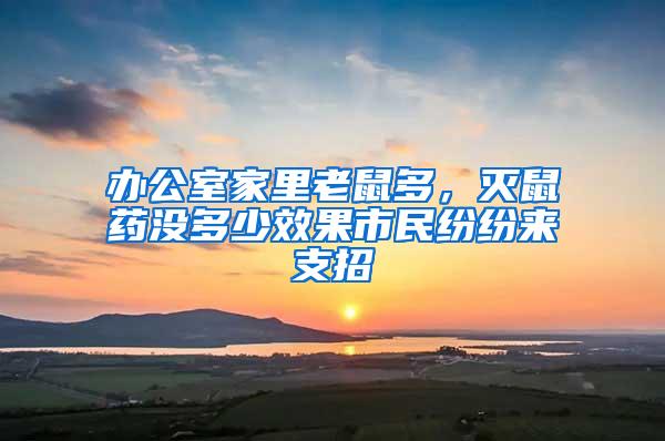 辦公室家里老鼠多，滅鼠藥沒多少效果市民紛紛來支招