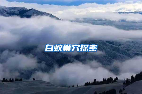 白蟻巢穴探密
