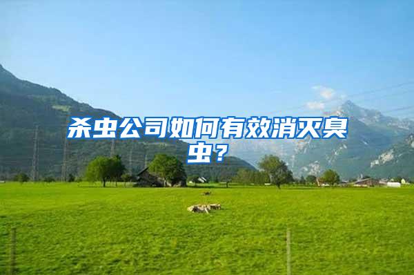 殺蟲公司如何有效消滅臭蟲？