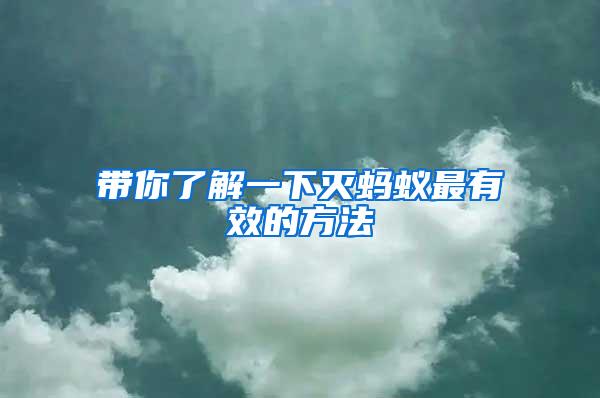 帶你了解一下滅螞蟻最有效的方法
