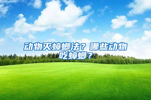 動(dòng)物滅蟑螂法？哪些動(dòng)物吃蟑螂？