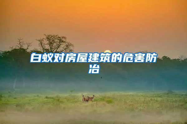 白蟻對房屋建筑的危害防冶