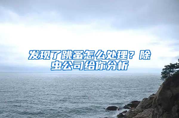 發現了跳蚤怎么處理？除蟲公司給你分析