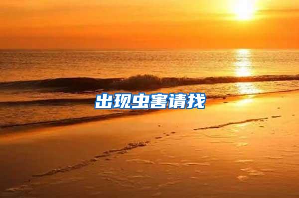 出現蟲害請找