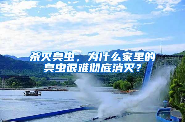 殺滅臭蟲，為什么家里的臭蟲很難徹底消滅？
