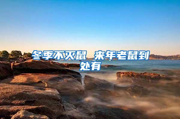 冬季不滅鼠 來年老鼠到處有