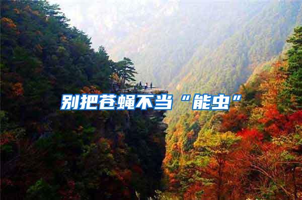 別把蒼蠅不當(dāng)“能蟲”