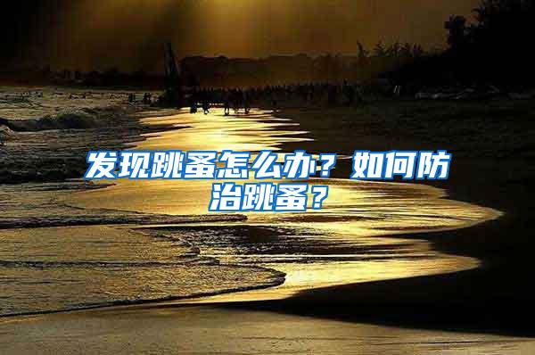 發現跳蚤怎么辦？如何防治跳蚤？