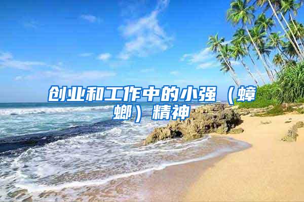 創業和工作中的小強（蟑螂）精神