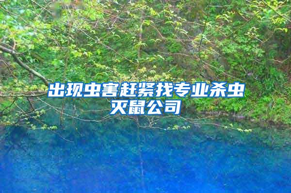 出現蟲害趕緊找專業殺蟲滅鼠公司