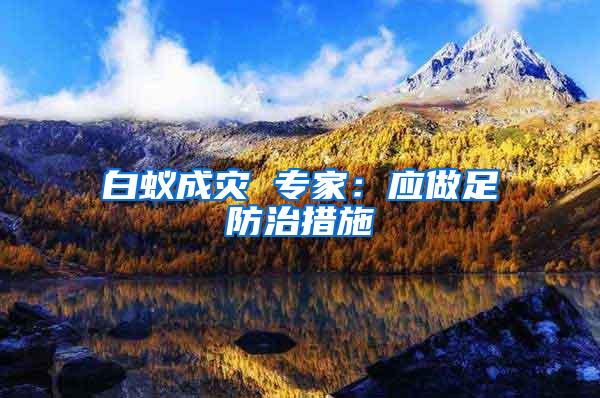 白蟻成災 專家：應做足防治措施
