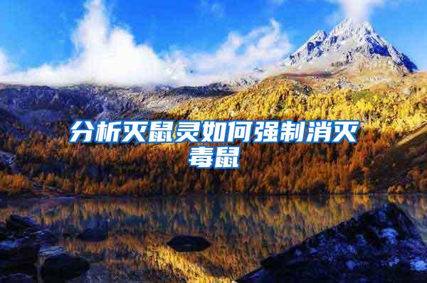 分析滅鼠靈如何強(qiáng)制消滅毒鼠