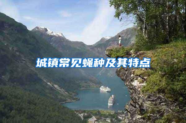 城鎮常見蠅種及其特點
