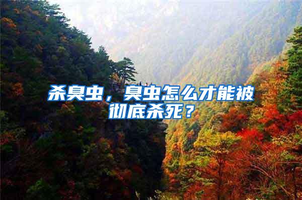 殺臭蟲，臭蟲怎么才能被徹底殺死？