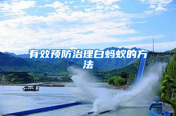 有效預防治理白螞蟻的方法
