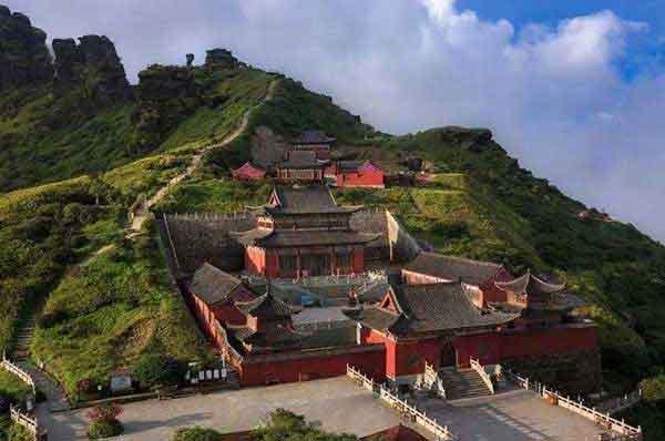 暖氣帶來(lái)“蟻災(zāi)”，滅蟲公司支招家里有螞蟻怎么辦