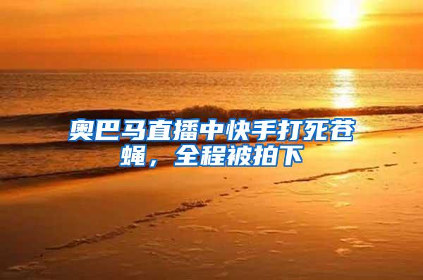奧巴馬直播中快手打死蒼蠅，全程被拍下