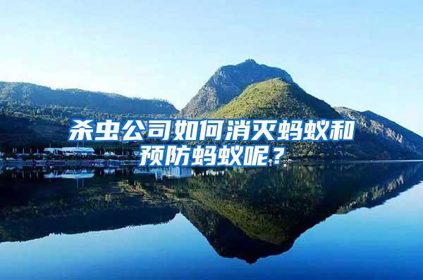 殺蟲公司如何消滅螞蟻和預防螞蟻呢？