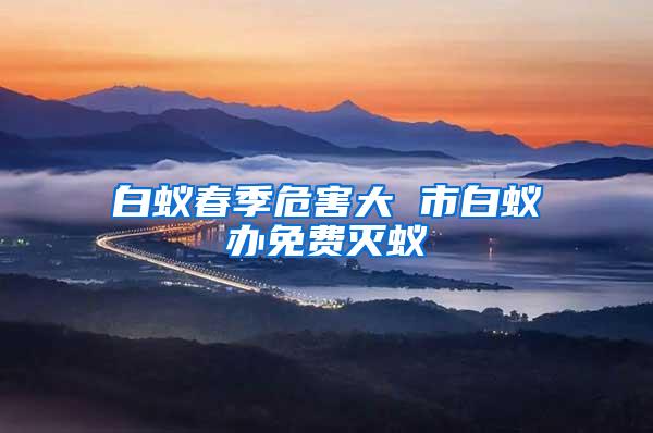 白蟻春季危害大 市白蟻辦免費滅蟻