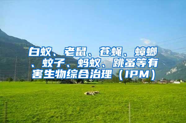 白蟻、老鼠、蒼蠅、蟑螂、蚊子、螞蟻、跳蚤等有害生物綜合治理（IPM）