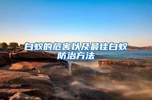 白蟻的危害以及最佳白蟻防治方法