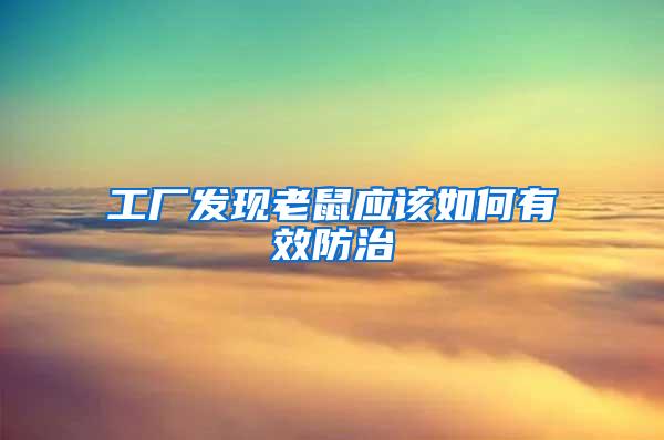 工廠發(fā)現(xiàn)老鼠應(yīng)該如何有效防治