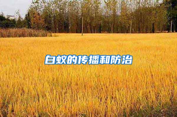 白蟻的傳播和防治