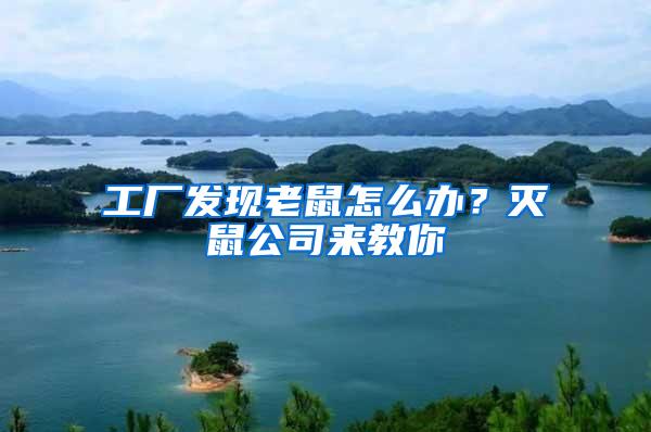 工廠發(fā)現(xiàn)老鼠怎么辦？滅鼠公司來(lái)教你