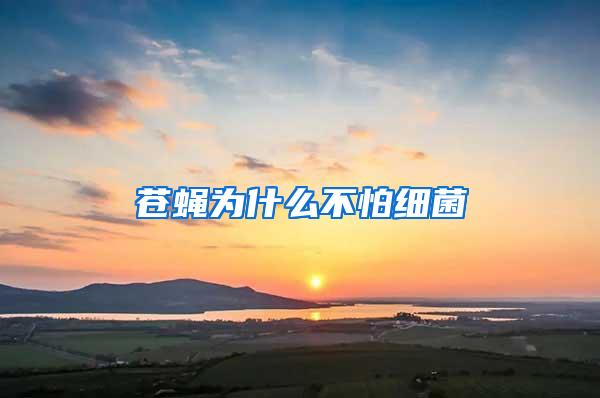 蒼蠅為什么不怕細(xì)菌