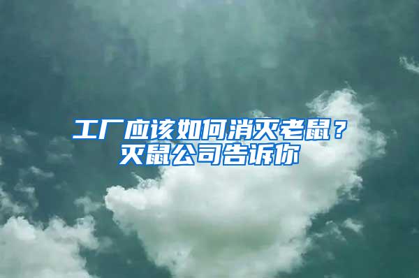 工廠應(yīng)該如何消滅老鼠？滅鼠公司告訴你