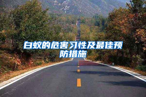 白蟻的危害習(xí)性及最佳預(yù)防措施